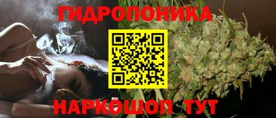 трава Можайск