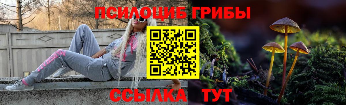 Севастополь  Галлюциногенные грибы Psilocybe  Вход с VPN 